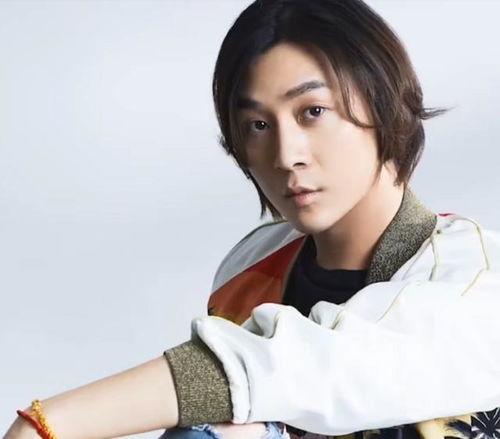 张大仙爆料瑶瑶视频播放,瑶瑶视频播放背后的惊人数据